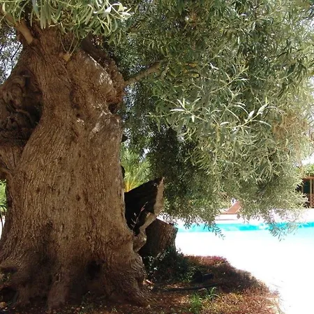 Lady Lusya ホテル