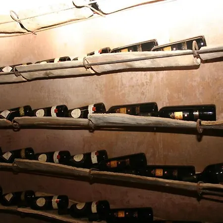 ホテル Lady Lusya カッシビレ